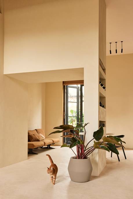 june split low 46cm greige